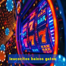 leucocitos baixos gatos